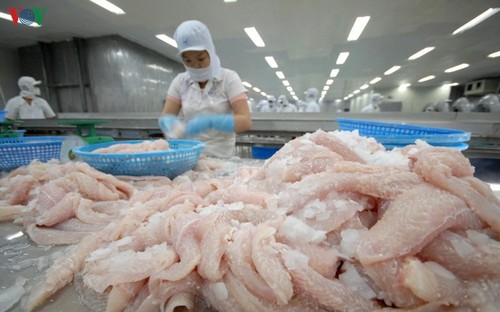 Catfish exports to UK remain high despite COVID-19 pandemic - ảnh 1