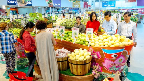 Vietnamese people opt for Vietnamese products to save businesses in pandemic	 - ảnh 1