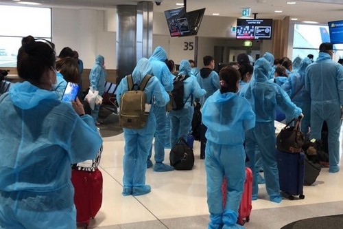 Nearly 350 Vietnamese citizens returned home from Australia and New Zealand - ảnh 1