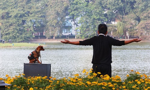 Walking dogs might be banned from Hanoi’s walking streets - ảnh 1