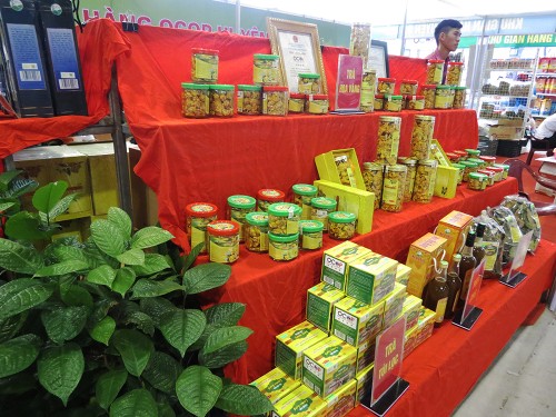 Camellia chrysantha secures stable income for Quang Ninh province’s Dao ethnic people - ảnh 2