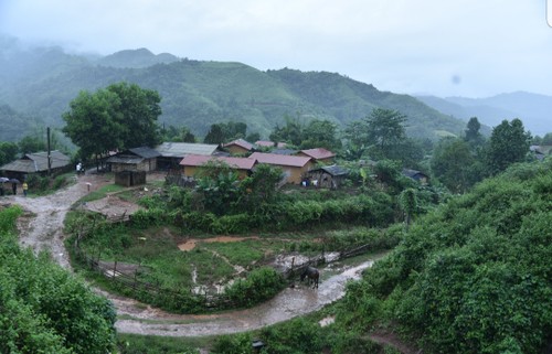 Mong ethnic people enjoy a better life in Huoi Hoc resettlement area - ảnh 1