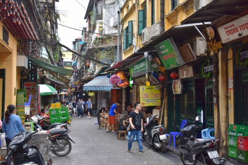 Bucket list experiences for tourists visiting Vietnam - ảnh 1