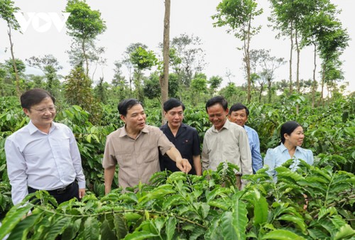 Vietnam’s coffee industry must change to integrate internationally - ảnh 1