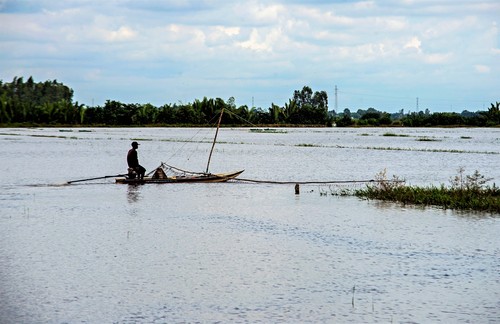 Farmers in Mekong Delta province of An Giang wait for floodwaters - ảnh 1