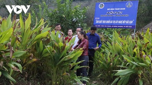 New-style cooperatives in Bac Can give local agro-forestry a major boost - ảnh 1