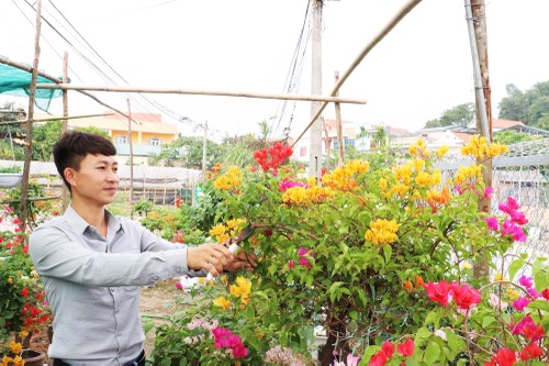 Flower villages in full swing ahead of Lunar New Year  - ảnh 2
