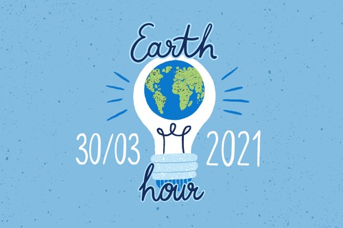 WWF: Earth Hour 2021 to be held digitally - ảnh 1