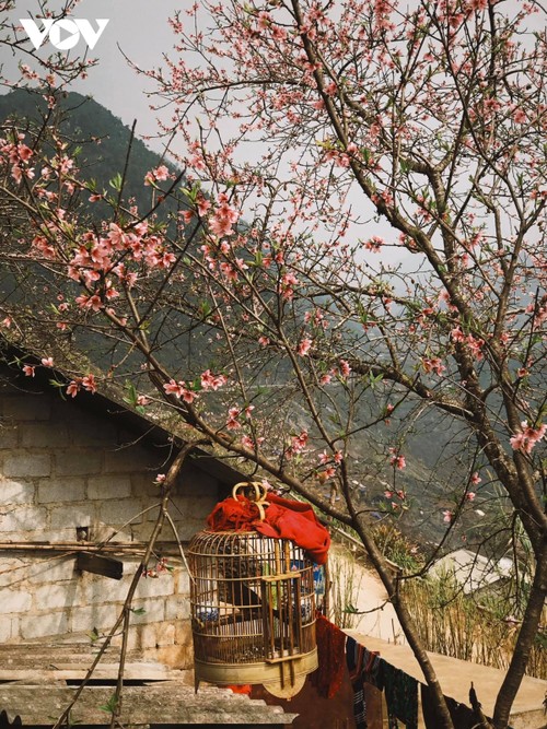 Stunning beauty of Ha Giang province - ảnh 8