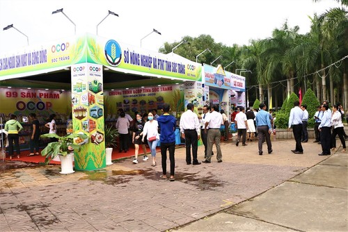 Mekong Delta provinces boost branding of OCOP products - ảnh 2