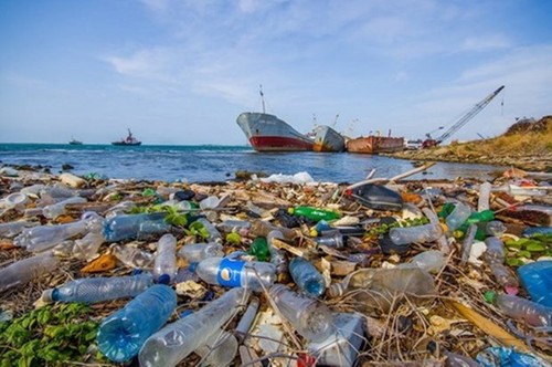 EU, Vietnam launch project to reduce marine plastic litter - ảnh 1