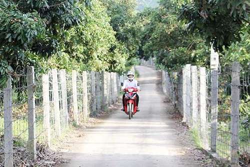Chieng Khuong border commune changes to a new-style rural area - ảnh 1
