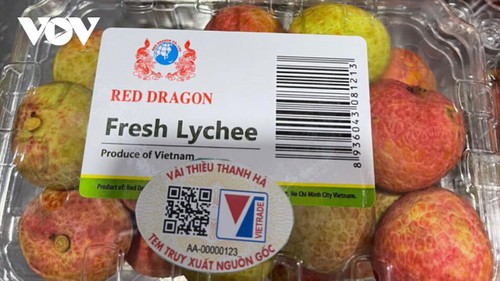 Thanh Ha lychees now available on Lazada - ảnh 1