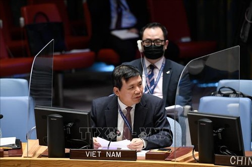 Vietnam chaired a United Nations session on South Sudan - ảnh 1