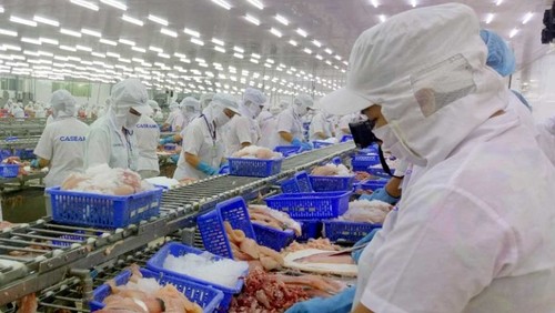 Vietnam’s aquatic export takes advantage of EVFTA - ảnh 1
