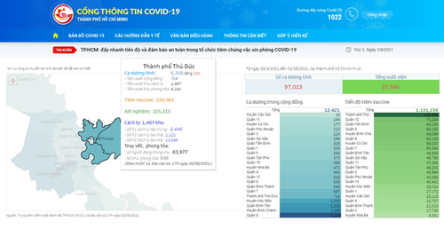 Ho Chi Minh City’s COVID-19 pandemic portal launched - ảnh 1