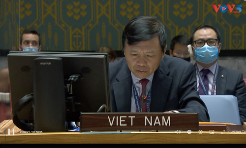 Vietnam calls on parties in Yemen to resume dialogue - ảnh 1
