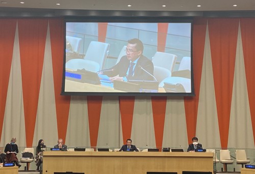 Vietnam chairs UNSC Working Group meeting on international courts - ảnh 1