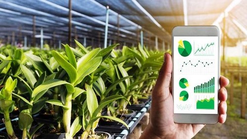 Digital transformation in agriculture - ảnh 1
