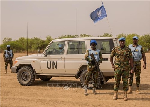 Security Council extends mandate of UN Mission in South Sudan one year - ảnh 1