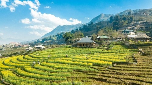 Agriculture-based tourism gains popularity in Lao Cai - ảnh 2