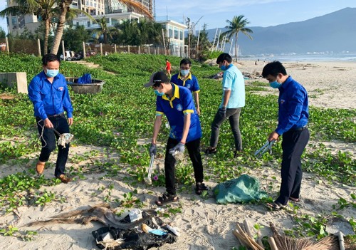 Da Nang boosts marine environment protection to attract tourists - ảnh 1