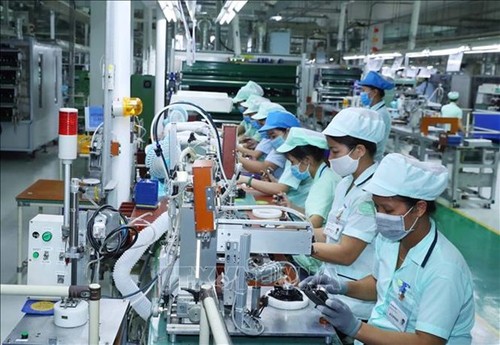 Vietnam’s economy recovers and develops sustainably - ảnh 1
