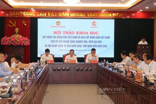 Role of Vietnam Farmers' Association, VNese farmers enhanced to boost national industrialization - ảnh 1