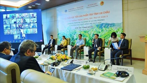 Lai Chau tea's potential in the Middle East, North Africa, and South Asia - ảnh 1