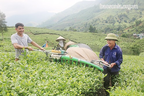 Son La province develops modern rural areas with civilized farmers - ảnh 1