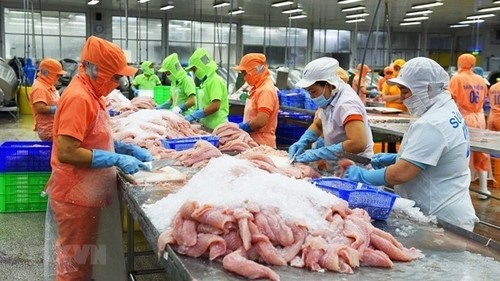 Mexico becomes Vietnam's third largest tra fish importer  - ảnh 1
