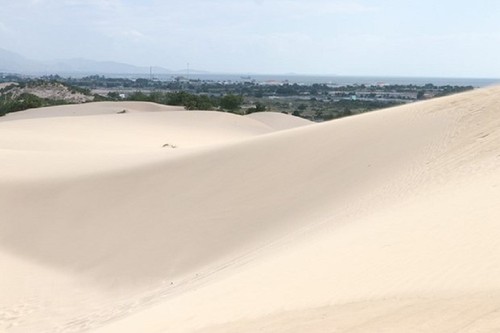 Nam Cuong red sand dune in Ninh Thuan province - ảnh 1