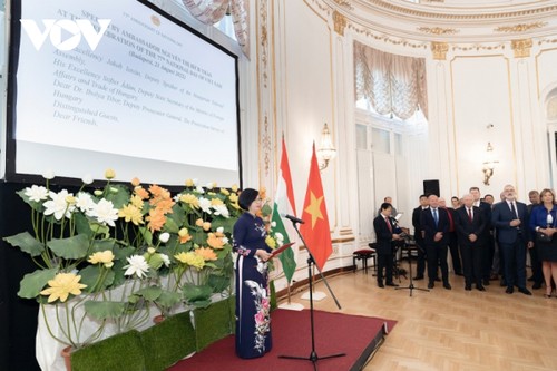 Foreign diplomats congratulate Vietnam on National Day - ảnh 2
