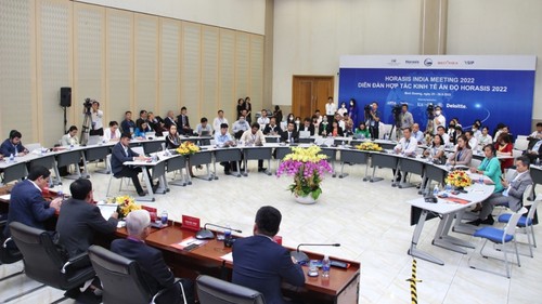 Binh Duong introduces business opportunities to foreign investors - ảnh 1