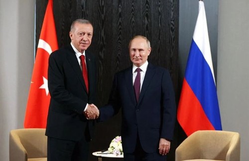 Russian, Turkish leaders discuss bilateral ties - ảnh 1