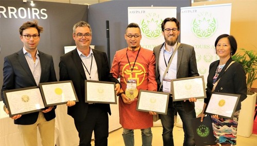 Lai Chau’s Shan Tuyet tea wins 4 prizes at “Teas of the World” International Contest - ảnh 1