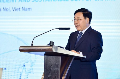 Vietnam works to foster OECD-Southeast Asia cooperation - ảnh 1