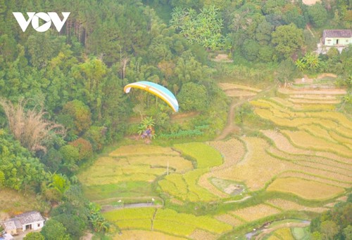 Paragliding over golden rice terrace fields in Northern Vietnam - ảnh 5