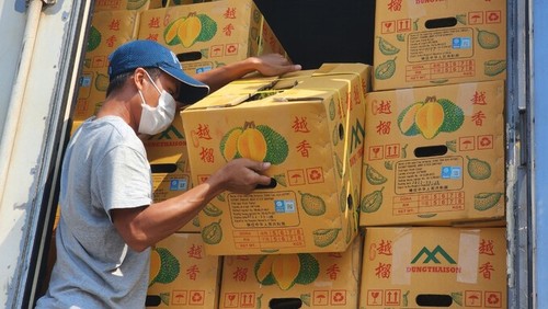 Vietnamese farmers persistent in bringing their durians to the Chinese market - ảnh 1