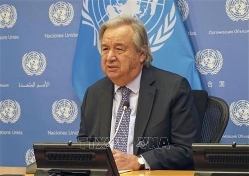 UN chief calls for investment in people, priority for education - ảnh 1