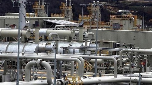 Turkey to host natural gas summit in Feb - ảnh 1