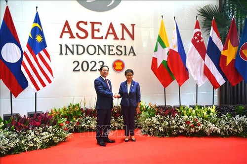 Vietnam pledges greater contribution to improving ASEAN's capacity, resilience  - ảnh 1