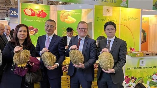 Vietnamese fruits promoted at Berlin exhibition - ảnh 1