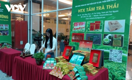 Thai Nguyen tea industry strives to achieve 1 billion USD revenue target  - ảnh 1