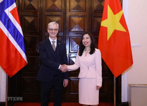 Vietnam, Norway hold political consultation in Hanoi - ảnh 1