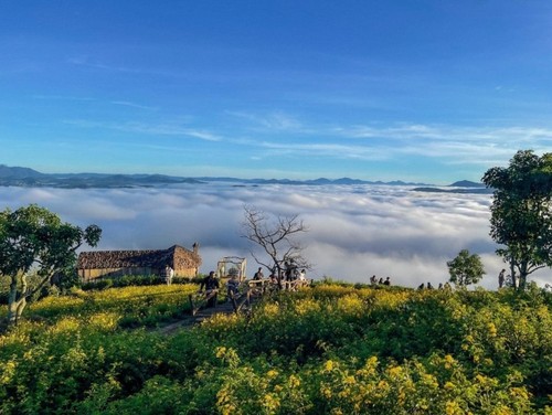 Da Lat named most visited tourist destination for Reunification Day by Booking.com - ảnh 1