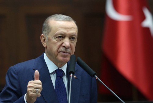 Turkey approves Finland’s NATO acccession - ảnh 1