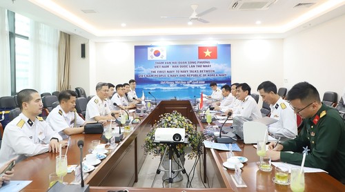 Vietnamese, RoK navies hold consultation - ảnh 1