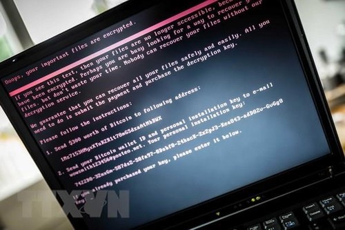 Japan records increase of cyberattacks ahead of G7 summit - ảnh 1
