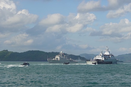 Vietnam navy joins multilateral activities - ảnh 1